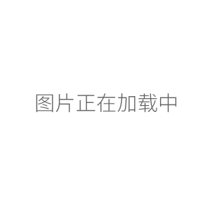 海門其林貝爾脫色搖床（數(shù)顯、定時(shí)）TS-1000（升級(jí)版）